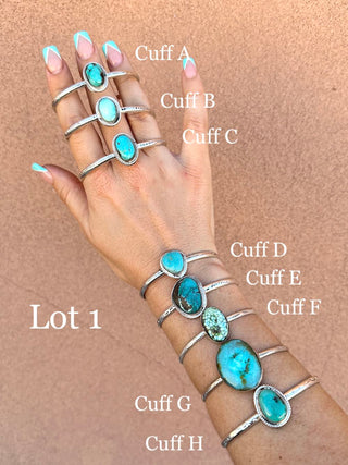 RTS ★ Nights In Nevada Cuff Lot 1-5