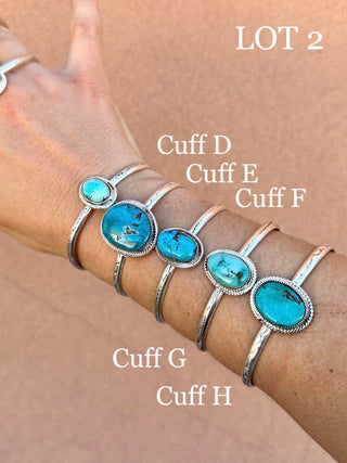 RTS ★ Nights In Nevada Cuff Lot 1-5