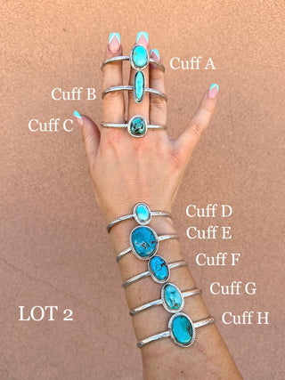 RTS ★ Nights In Nevada Cuff Lot 1-5