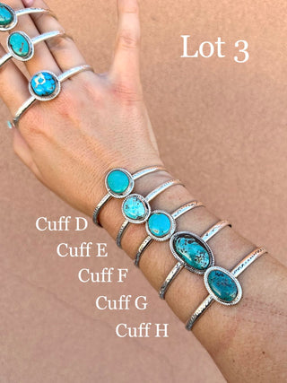 RTS ★ Nights In Nevada Cuff Lot 1-5