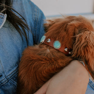 RTS ★ Barkin' Mad 4 Stone Dog Collar