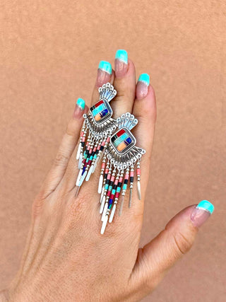 RTS ★ Colorful On The Fringe Earrings