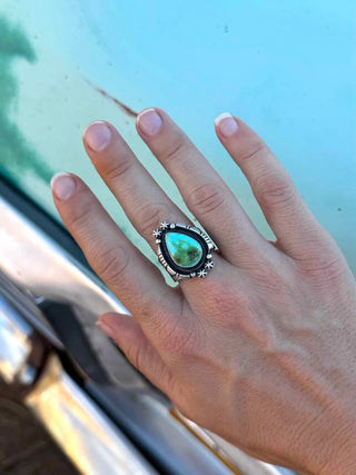 RTS ★ Royston Rodeo Ring