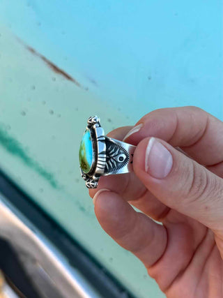 RTS ★ Royston Rodeo Ring