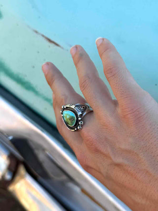 RTS ★ Royston Rodeo Ring