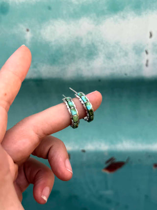 RTS ★ Scales Of Sonoran Hoops