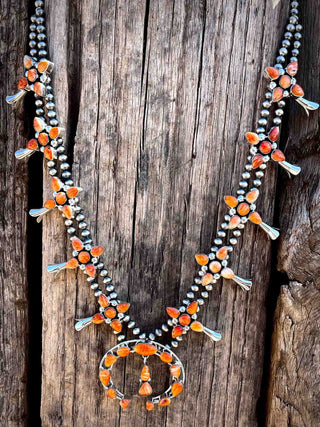 RTS ★ Spiny Oyster Heirloom Squash